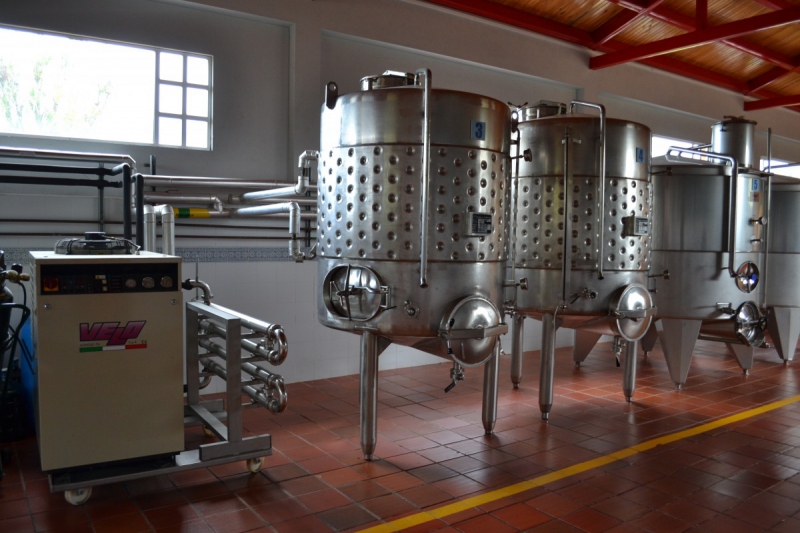 cave-CABRIS-min_wine_production_cantine_winery_drink_alcohol_vine_beverage-902036